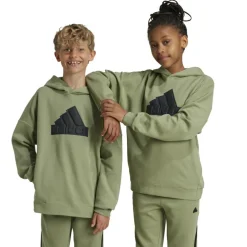 Adidas Future Icons Logo hoodie junior tent green black