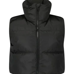 Airforce TTT Cropped bodywarmer dames true black