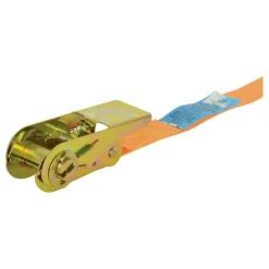 Carpoint Spanband met ratel 3 meter