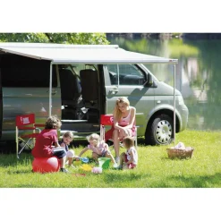 Fiamma F45 S 260 VW Multivan Transporter T5 T6 met C-rail cassetteluifel titanium - Royal Grey