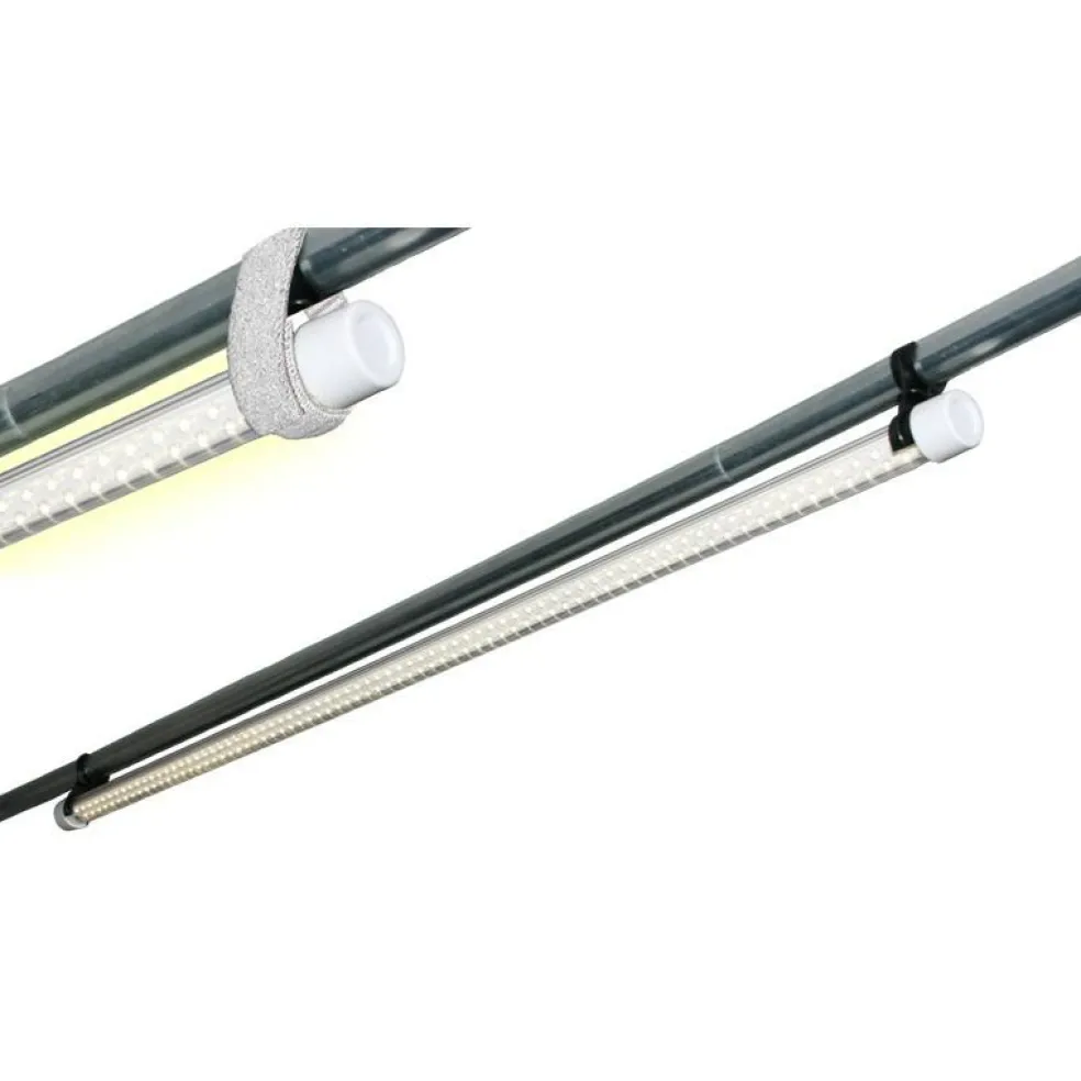 Haba Insight 150 voortent ledverlichting
