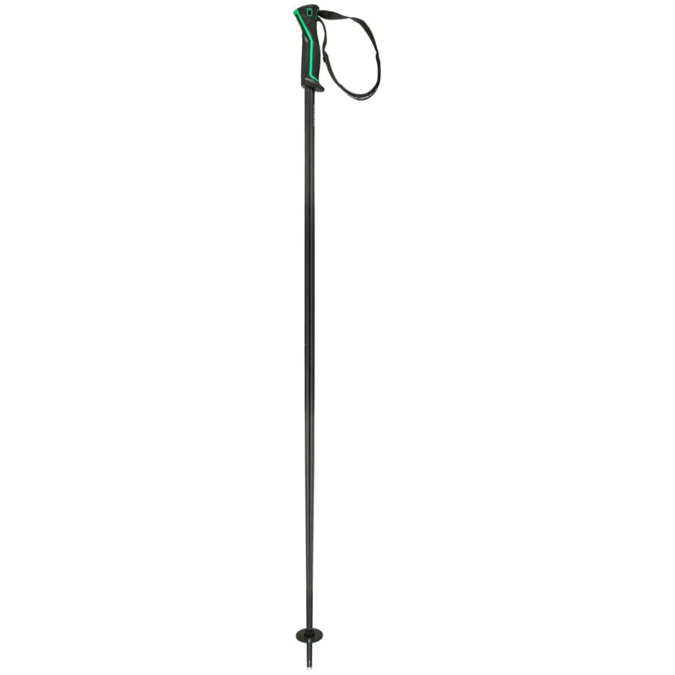 Head Frontside skistokken black green