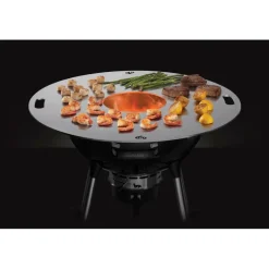 Napoleon Fire grillplaat