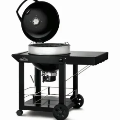 Napoleon PRO22 mobiele houtskoolbarbecue 57 cm black