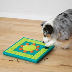Nina Ottosson Multipuzzle hondenspeelgoed