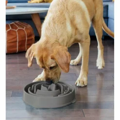 Outward Hound  Fun Feeder Drop Large voerbak grey