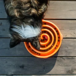 Outward Hound  Fun Feeder Slo Bowl voerbak oranje