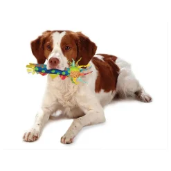 Petstages Cool Teething Stick hondenspeelgoed