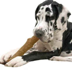 Petstages Dogwood stick hondenspeelgoed M