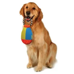 Petstages Toss and Retrieve hondenspeelgoed