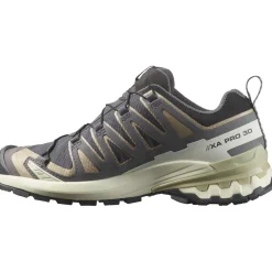Salomon XA PRO 3D V9 GORE-TEX hardloopschoenen dames nine iron oxford tan alfalfa
