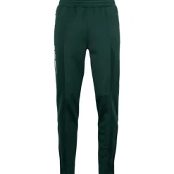 The Indian Maharadja  Jaipur Performance trainingsbroek heren green